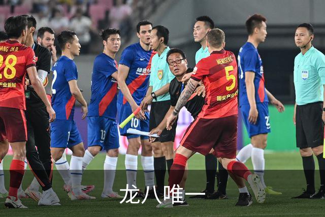 龙八唯一公司简介配图